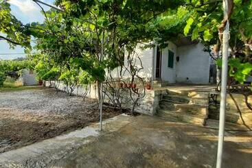 پانسیون Jungle House