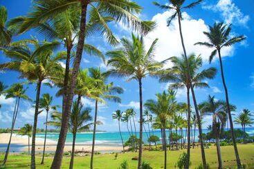 استراحتگاه Hilton Garden Inn Kauai Wailua Bay, Hi