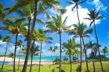 استراحتگاه Hilton Garden Inn Kauai Wailua Bay, Hi