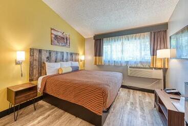 هاستل La Mirage Inn Hollywood