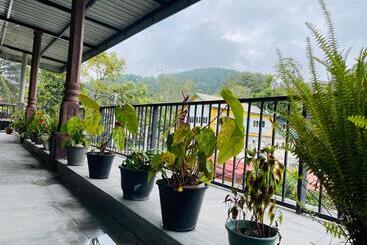 تختخواب و صبحانه Jade Green Rest Inn