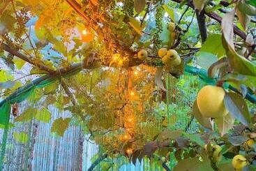پانسیون Green Garden