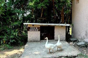 Click Resort Corbett Tiger Den