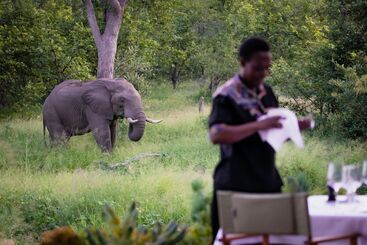 هتل Klaserie Sands Safari Trails