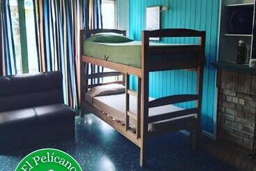 هاستل El Pelícano Hostal