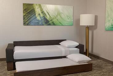 هتل Springhill Suites By Marriott West Sacramento