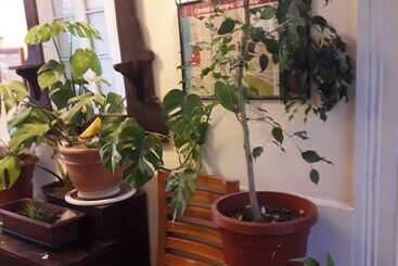 پانسیون Hostal La Mestiza   Hostel
