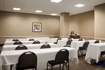 هتل Comfort Inn & Suites Presidential