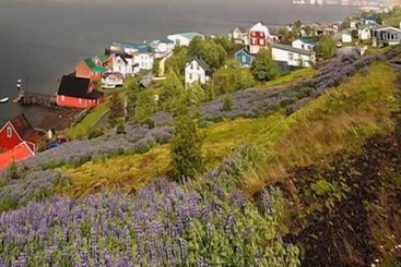 هتل Eskifjörður
