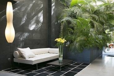 Areca - Torrellano