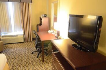Holiday Inn Express Hotel & Suites Houston Downtown Convention Center, An Ihg