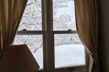 هتل Guest House Bunk