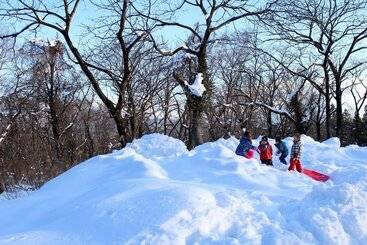 هتل Guest House Bunk