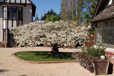 هتل The Birches Bed & Breakfast