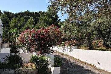 هتل Anamar Skiathos