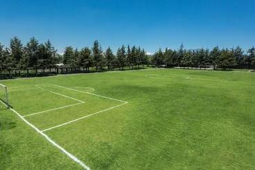 هتل Courtyard Toluca Airport