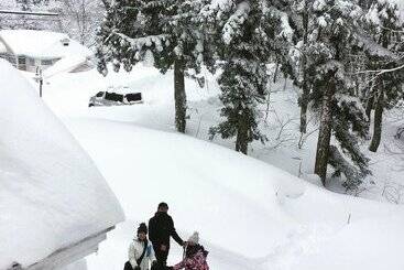 هاستل Myoko Forest Lodge