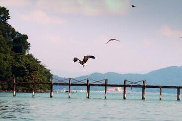 هتل Grand Continental Langkawi