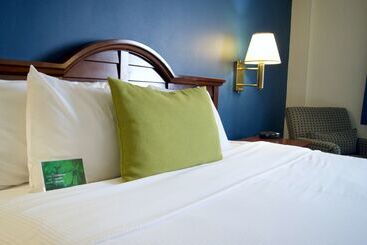 בית מלון כפרי Best Western Plus Los Mochis