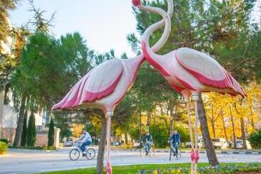 Flamingo Grand Hotel & Spa