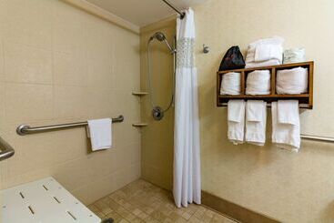 هتل Hampton Inn Savannah Historic District