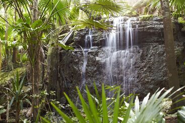 هتل Viceroy Riviera Maya, A Luxury Villa Resort