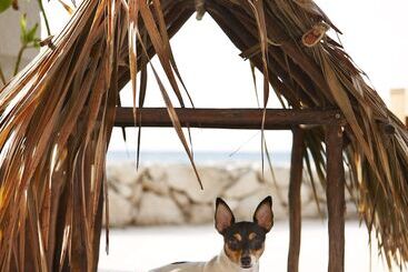 هتل Viceroy Riviera Maya, A Luxury Villa Resort