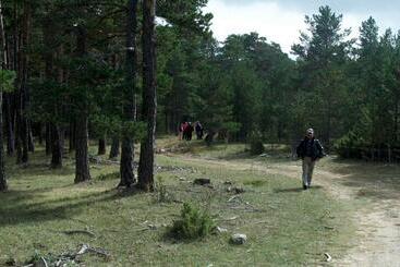 Apartamentos Rurales Sierra De Gudar