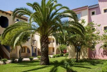 Globales Bouganvilla