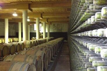 هتل Chateau Vinasoro