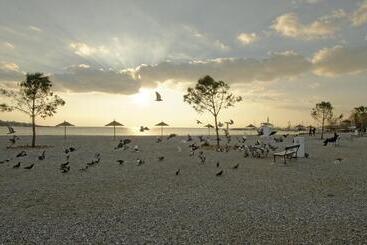ホテル Palmyra Beach