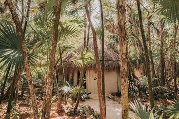 هتل Papaya Playa Project