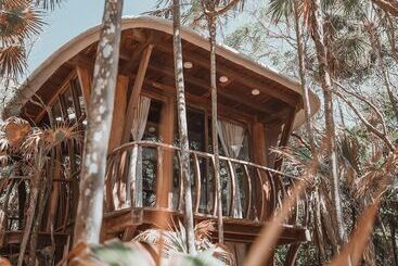 هتل Papaya Playa Project