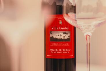 هتل Villa Giulia