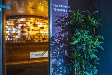 Budapest Airport Hotel Stáció Wellness & Konferencia