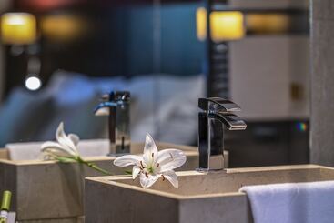 Budapest Airport Hotel Stáció Wellness & Konferencia