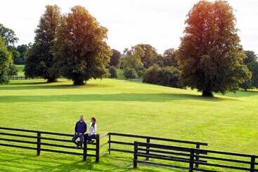 هتل Lyrath Estate