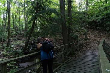 هتل Taboo Muskoka