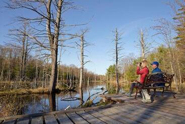 هتل Taboo Muskoka