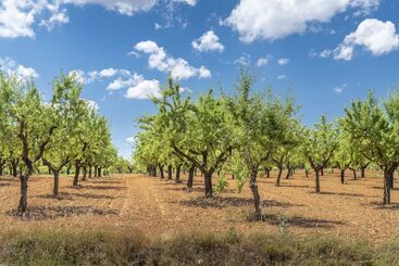 Vilar Rural D Arnes By Serhs Hotels