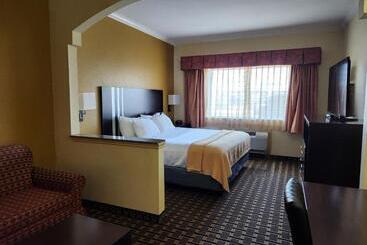 هتل Days Inn & Suites By Wyndham Sam Houston Tollway