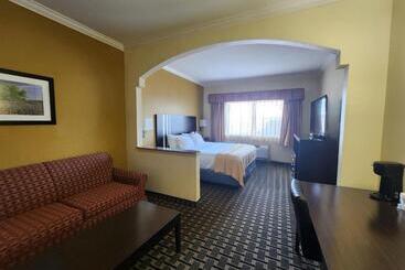هتل Days Inn & Suites By Wyndham Sam Houston Tollway