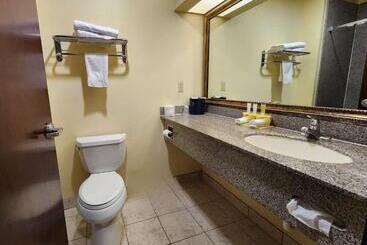 هتل Days Inn & Suites By Wyndham Sam Houston Tollway