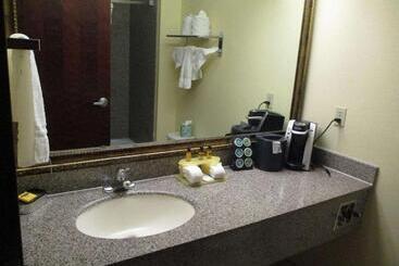 هتل Days Inn & Suites By Wyndham Sam Houston Tollway