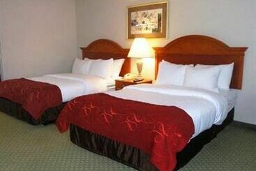 هتل Comfort Suites University