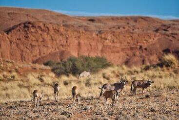 هتل Namib Desert Lodge