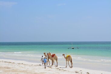 هتل Neptune Paradise Beach Resort & Spa   All Inclusive