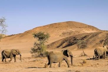 Hotel Twyfelfontein Country Lodge