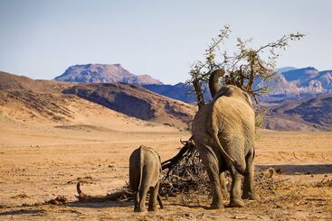 Hotel Twyfelfontein Country Lodge