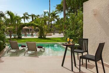استراحتگاه Dreams Aventuras Riviera Maya   All Inclusive
